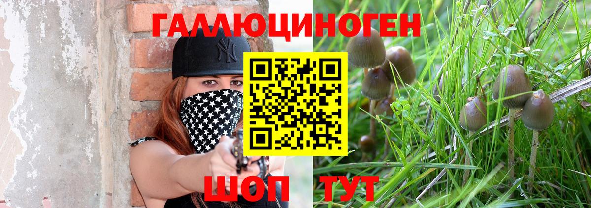 Псилоцибиновые грибы прущие грибы Донской